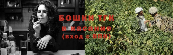 PSILOCYBIN Балабаново