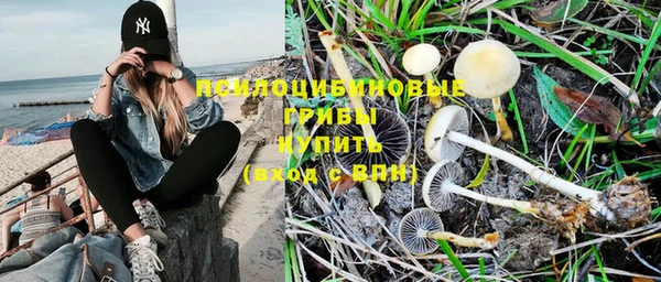 PSILOCYBIN Балабаново