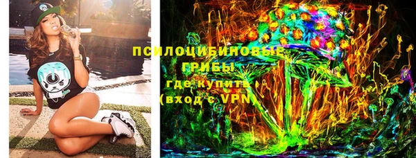 PSILOCYBIN Балабаново