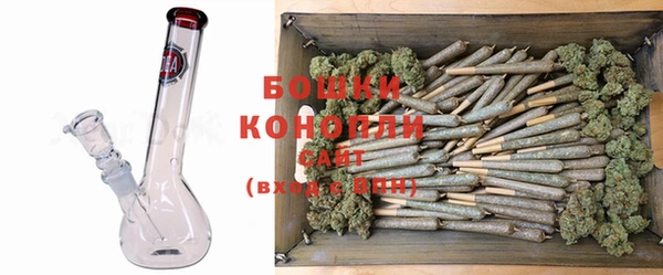 PSILOCYBIN Балабаново