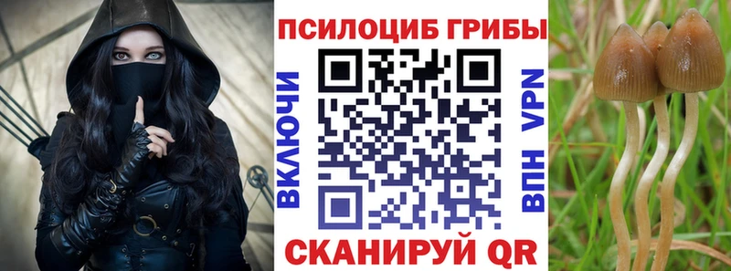 Галлюциногенные грибы GOLDEN TEACHER  omg tor  Сатка 